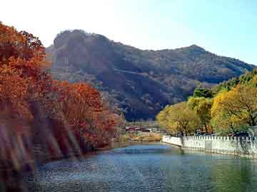 奥门天天开奖免费资料，山西煤价